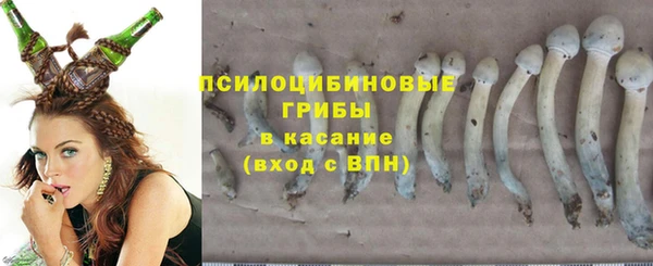 круглые Гусиноозёрск