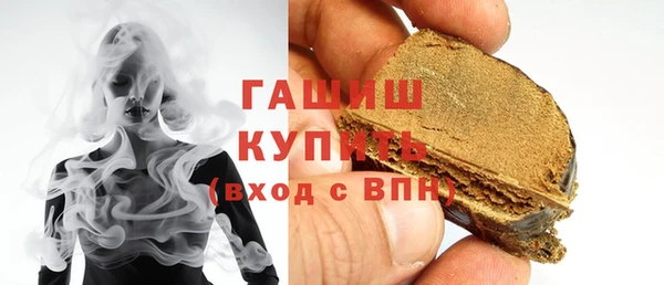 индика Горнозаводск