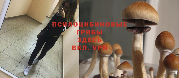 круглые Гусиноозёрск