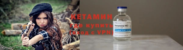индика Горнозаводск