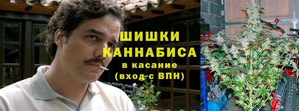 индика Горнозаводск