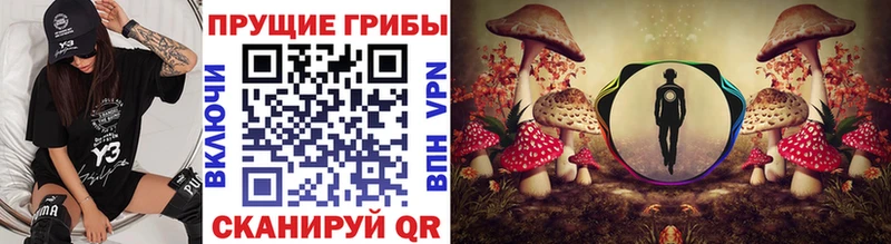 Галлюциногенные грибы GOLDEN TEACHER  Купить где  Нягань 